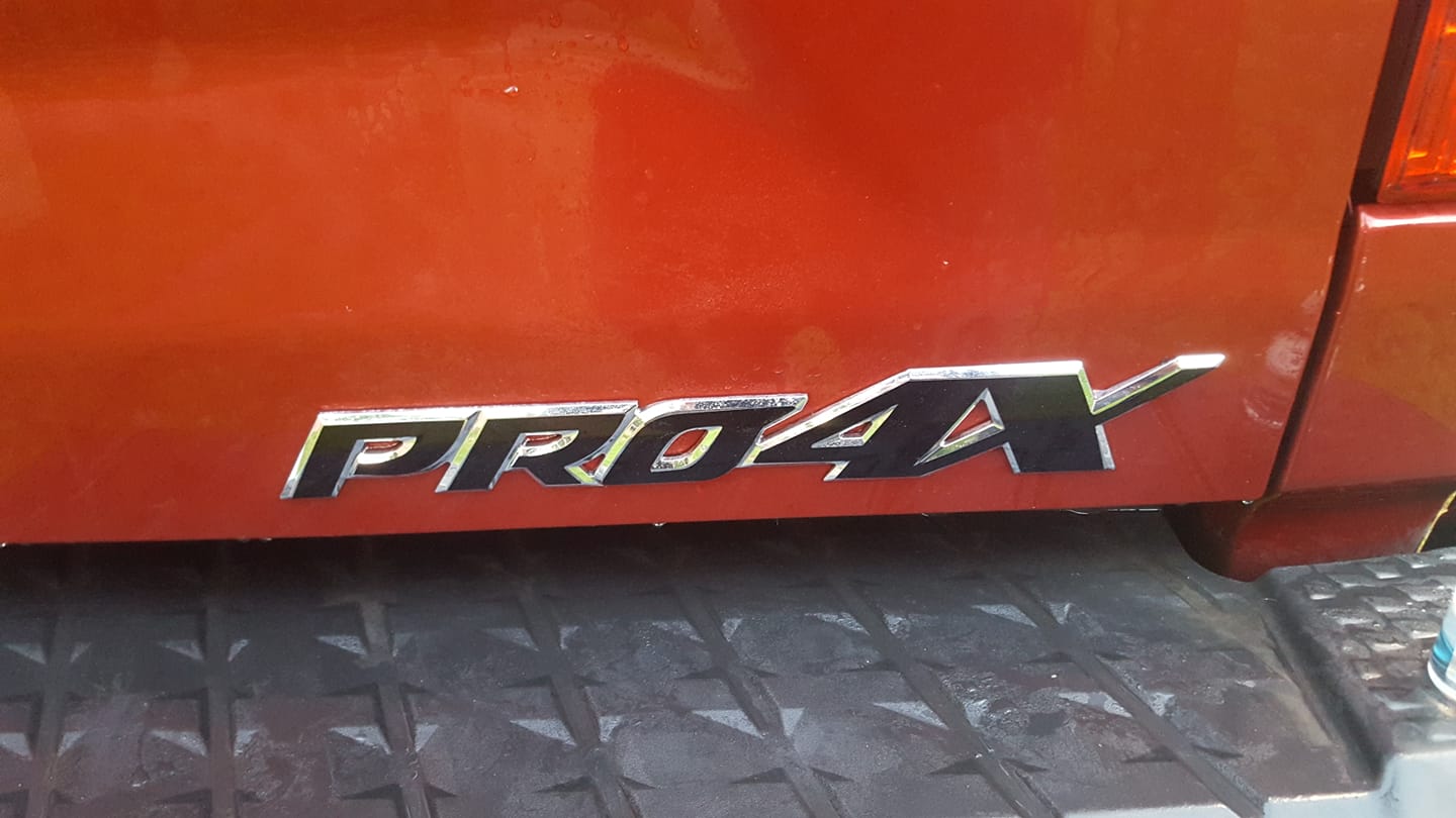 2016 - 2019 Nissan Titan SIDES/REAR Emblem Overlay Decals/Letters - Texas Decal King, LLC